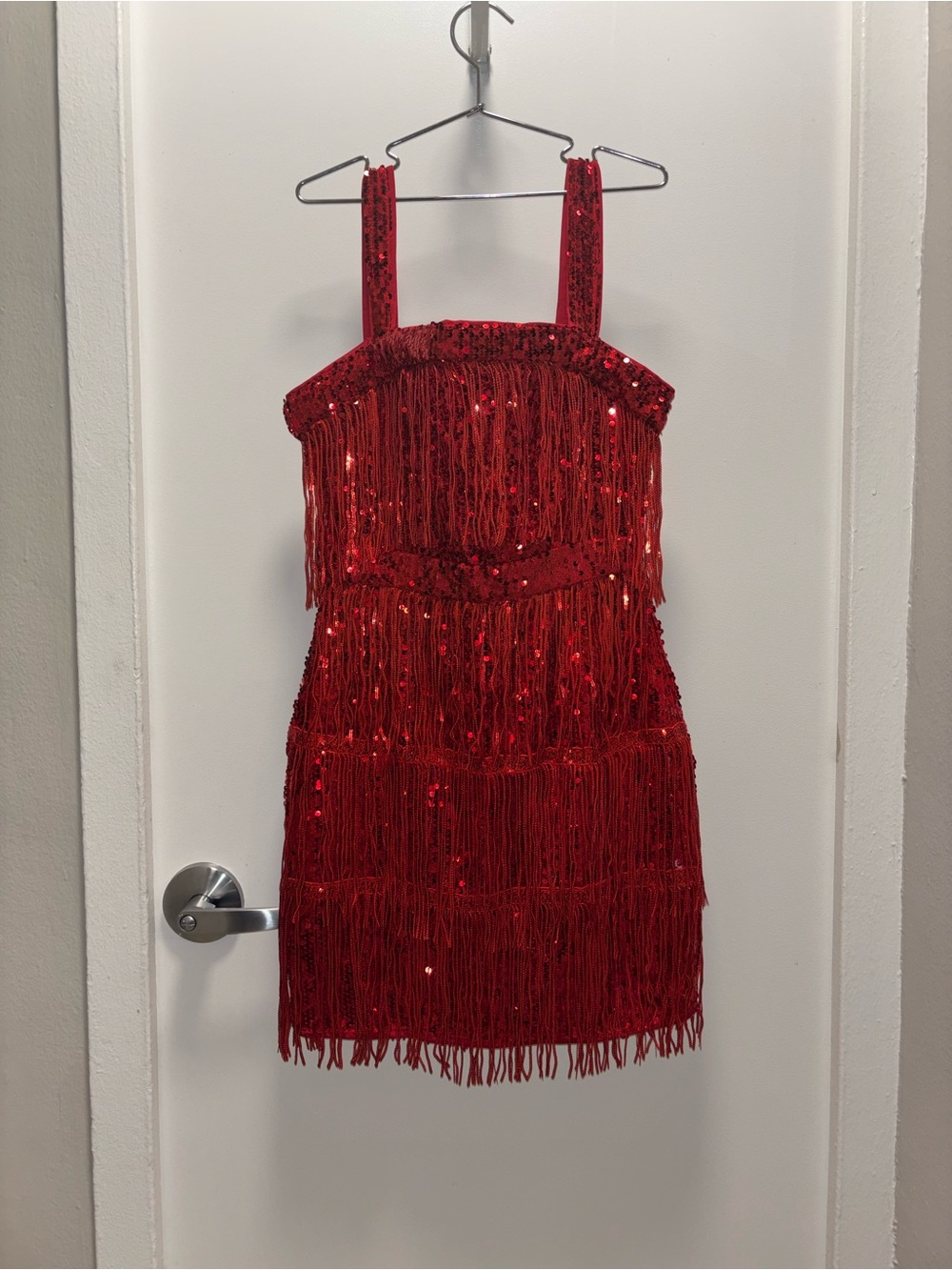 Red Sequin Fringe Flapper Dress